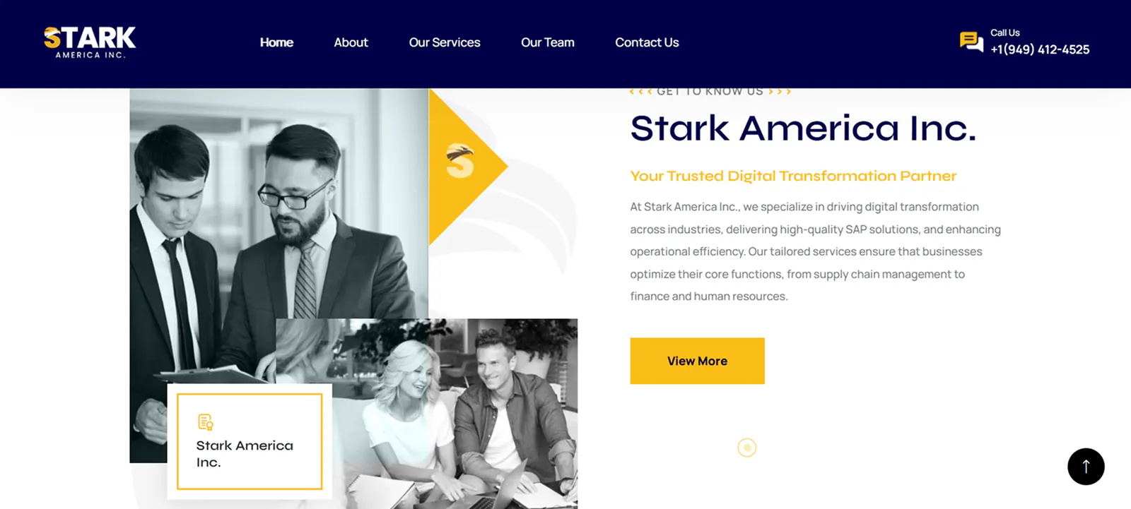Stark America Inc screenshot 3